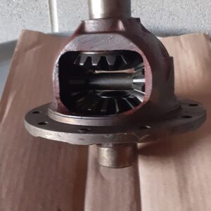 Differenziale posteriore standard